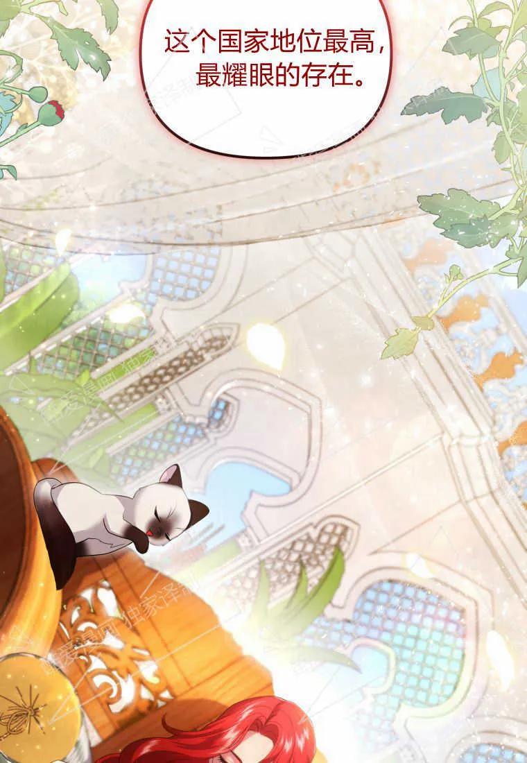 成为苏尔坦珍爱的猫咪 第05话 第78页