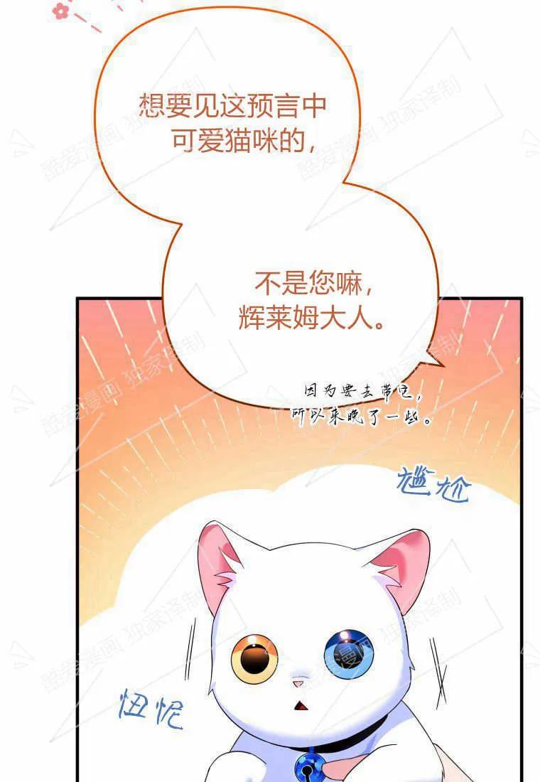 成为苏尔坦珍爱的猫咪 第05话 第84页