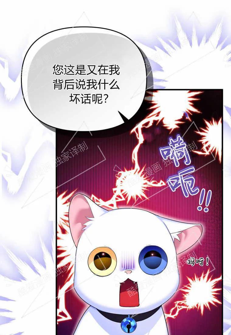 成为苏尔坦珍爱的猫咪 第05话 第106页