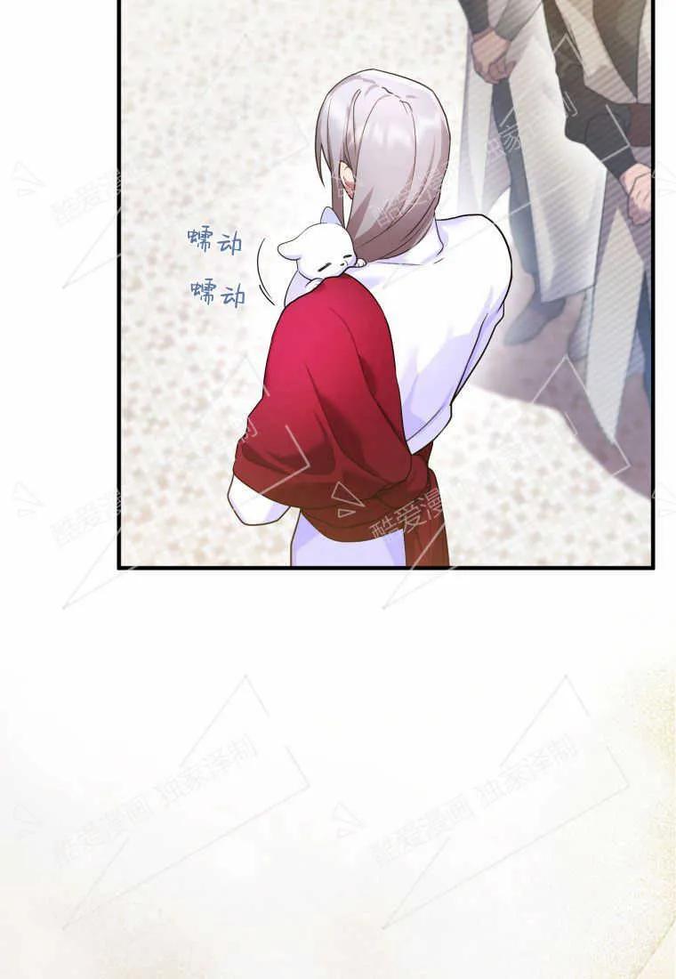 成为苏尔坦珍爱的猫咪 第05话 第71页