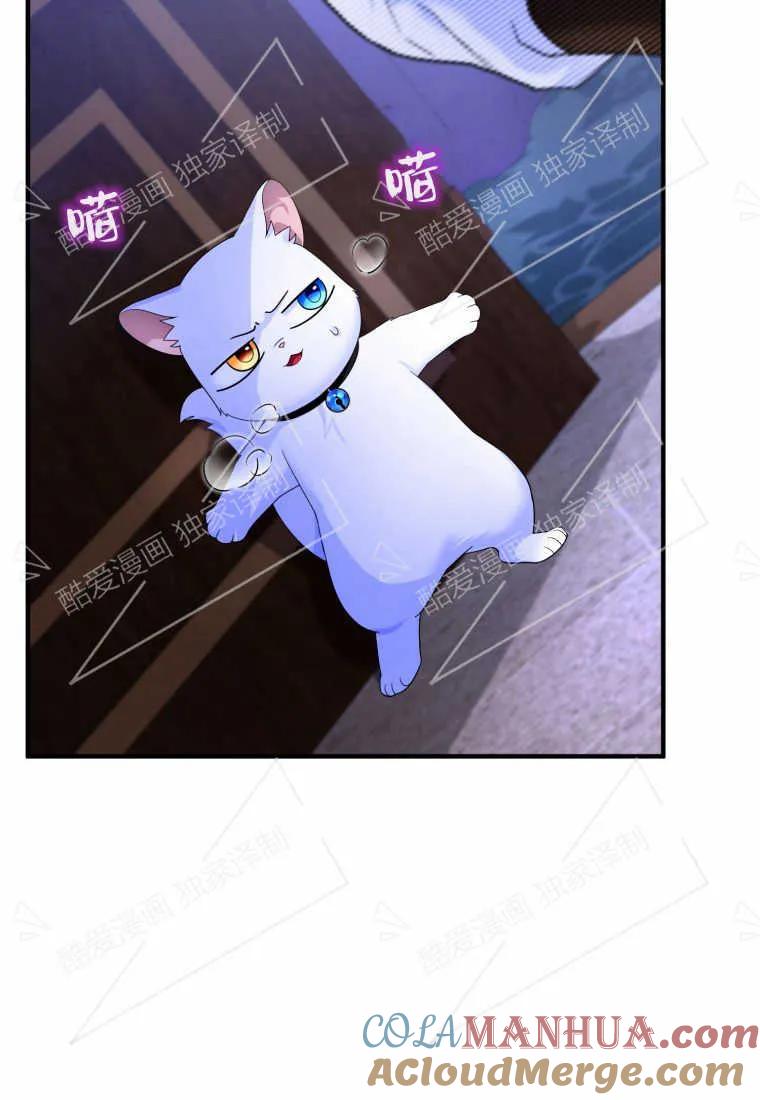 成为苏尔坦珍爱的猫咪 第05话 第41页