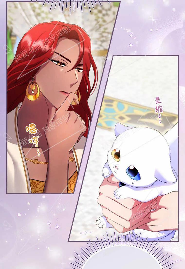 成为苏尔坦珍爱的猫咪 第05话 第86页
