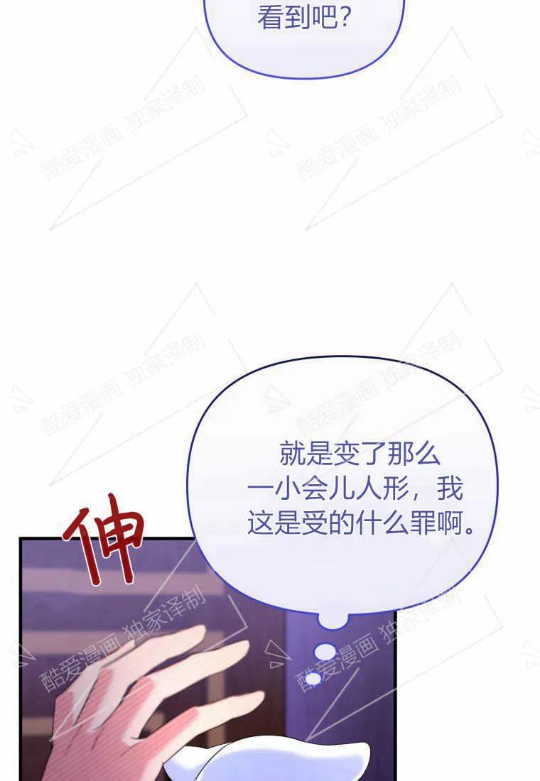 成为苏尔坦珍爱的猫咪 第05话 第43页