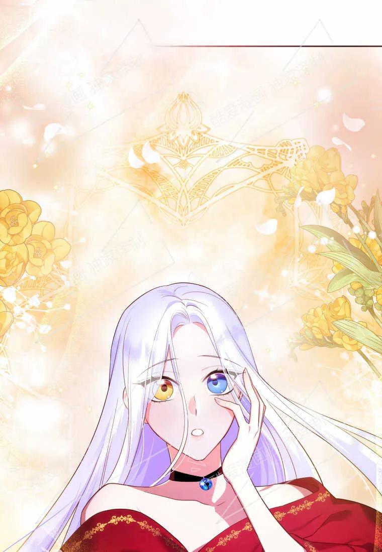 成为苏尔坦珍爱的猫咪 第05话 第54页