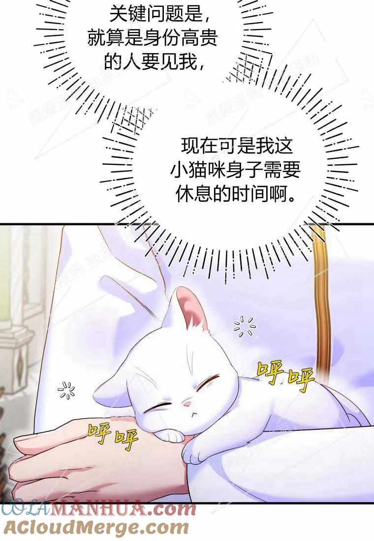 成为苏尔坦珍爱的猫咪 第05话 第69页