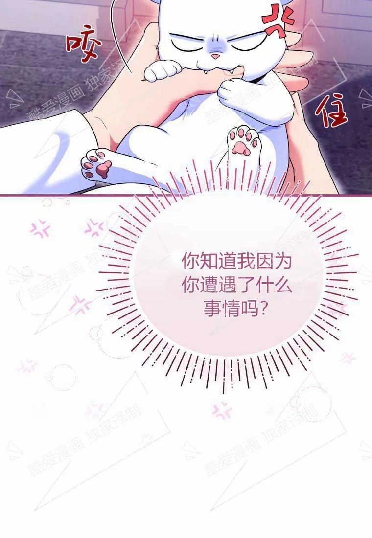 成为苏尔坦珍爱的猫咪 第05话 第48页