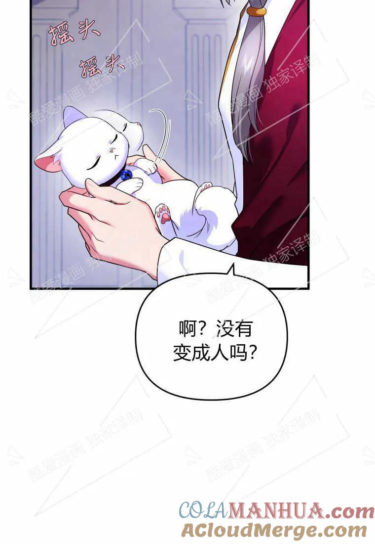 成为苏尔坦珍爱的猫咪 第05话 第57页