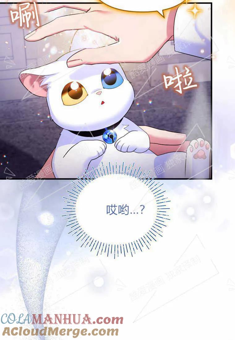 成为苏尔坦珍爱的猫咪 第05话 第61页