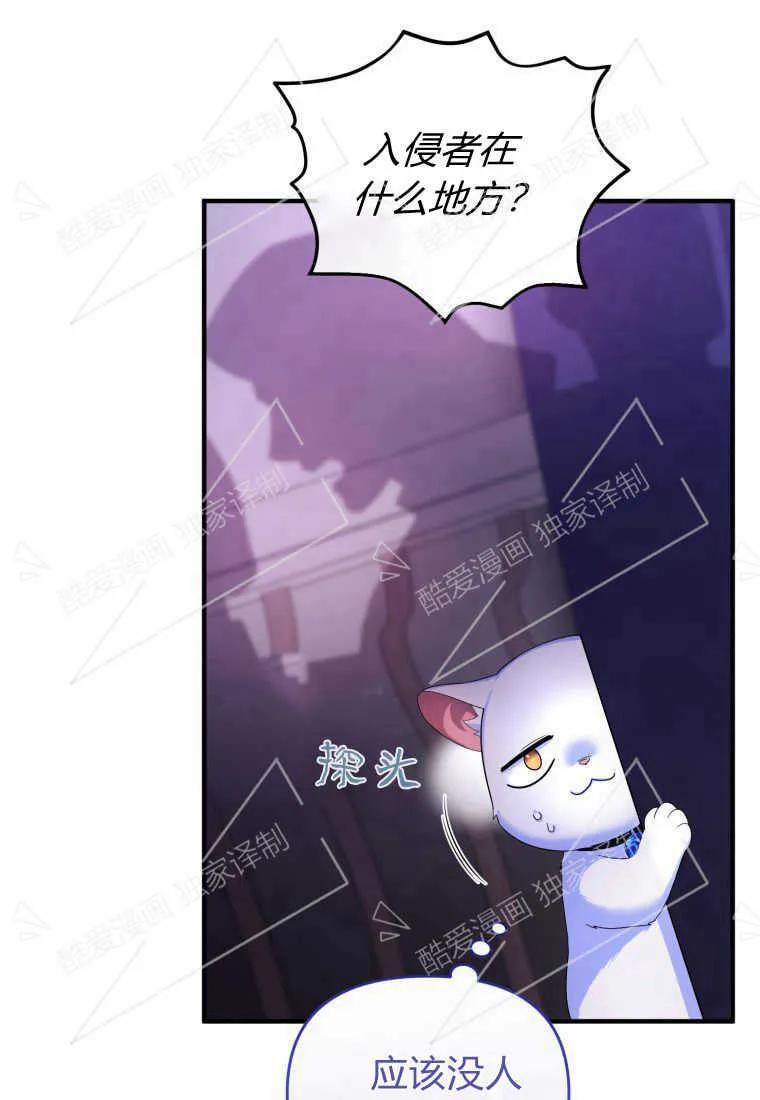 成为苏尔坦珍爱的猫咪 第05话 第42页