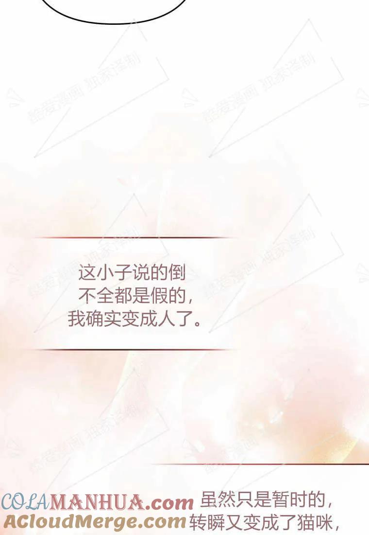 成为苏尔坦珍爱的猫咪 第05话 第53页