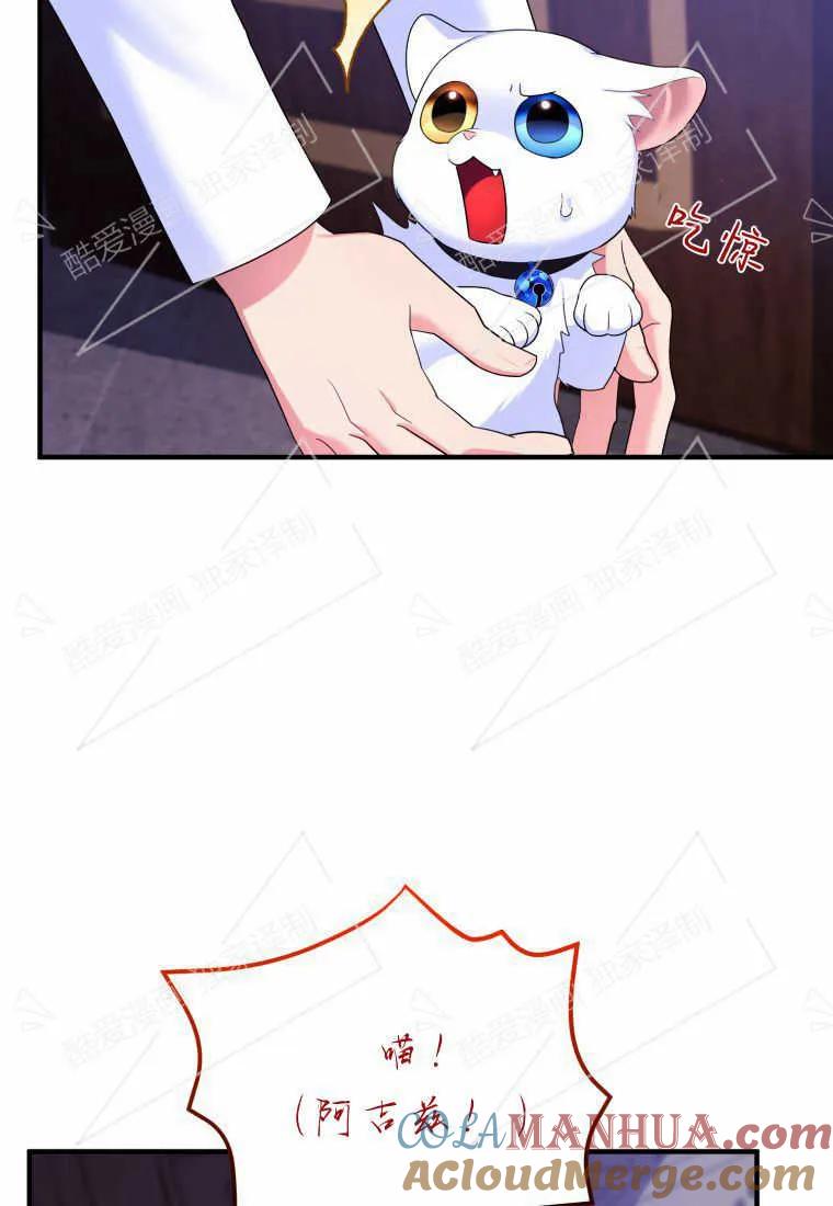 成为苏尔坦珍爱的猫咪 第05话 第45页