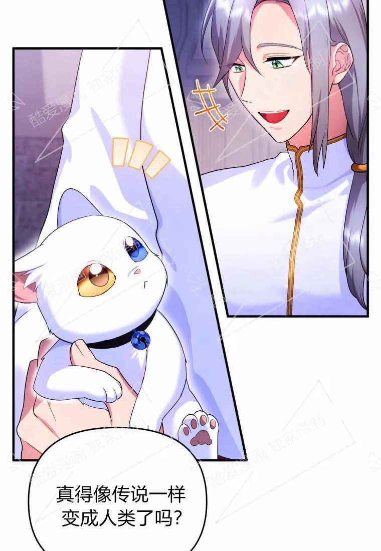 成为苏尔坦珍爱的猫咪 第05话 第52页