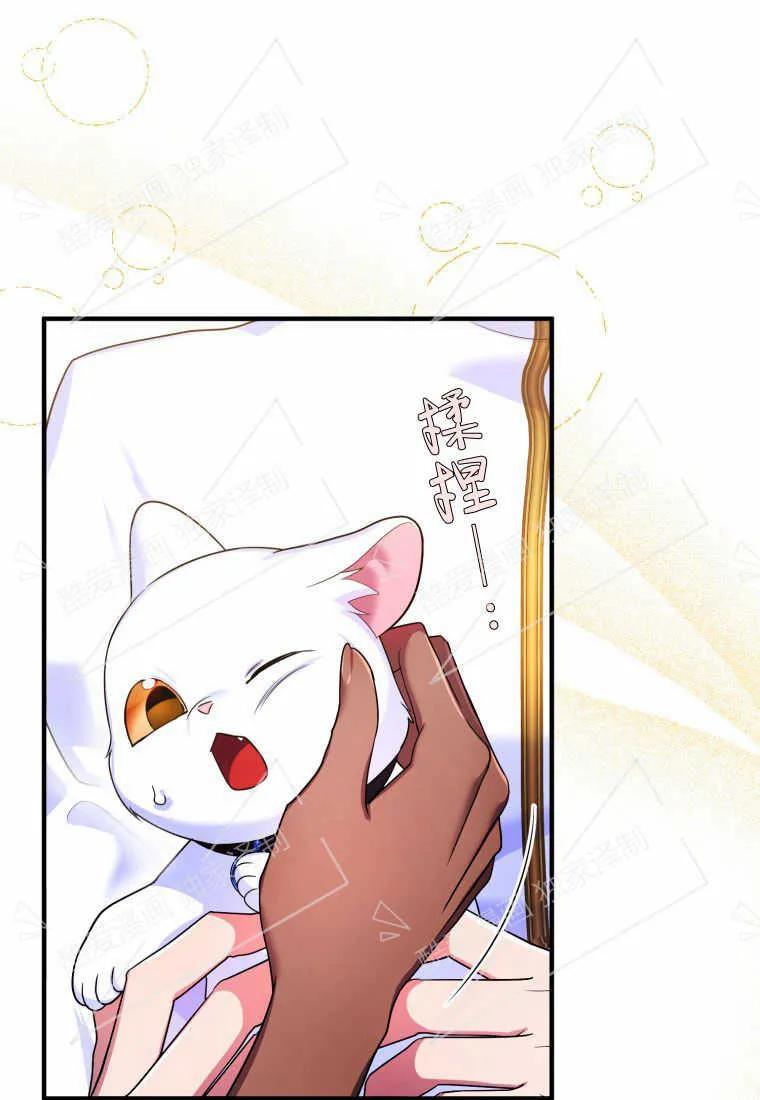 成为苏尔坦珍爱的猫咪 第05话 第90页
