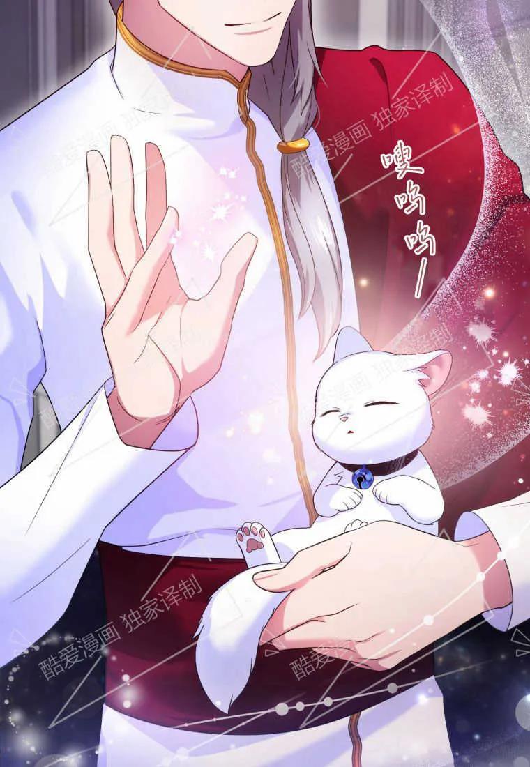 成为苏尔坦珍爱的猫咪 第05话 第63页