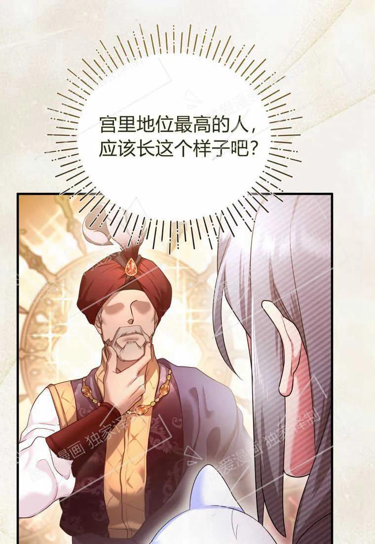 成为苏尔坦珍爱的猫咪 第05话 第72页