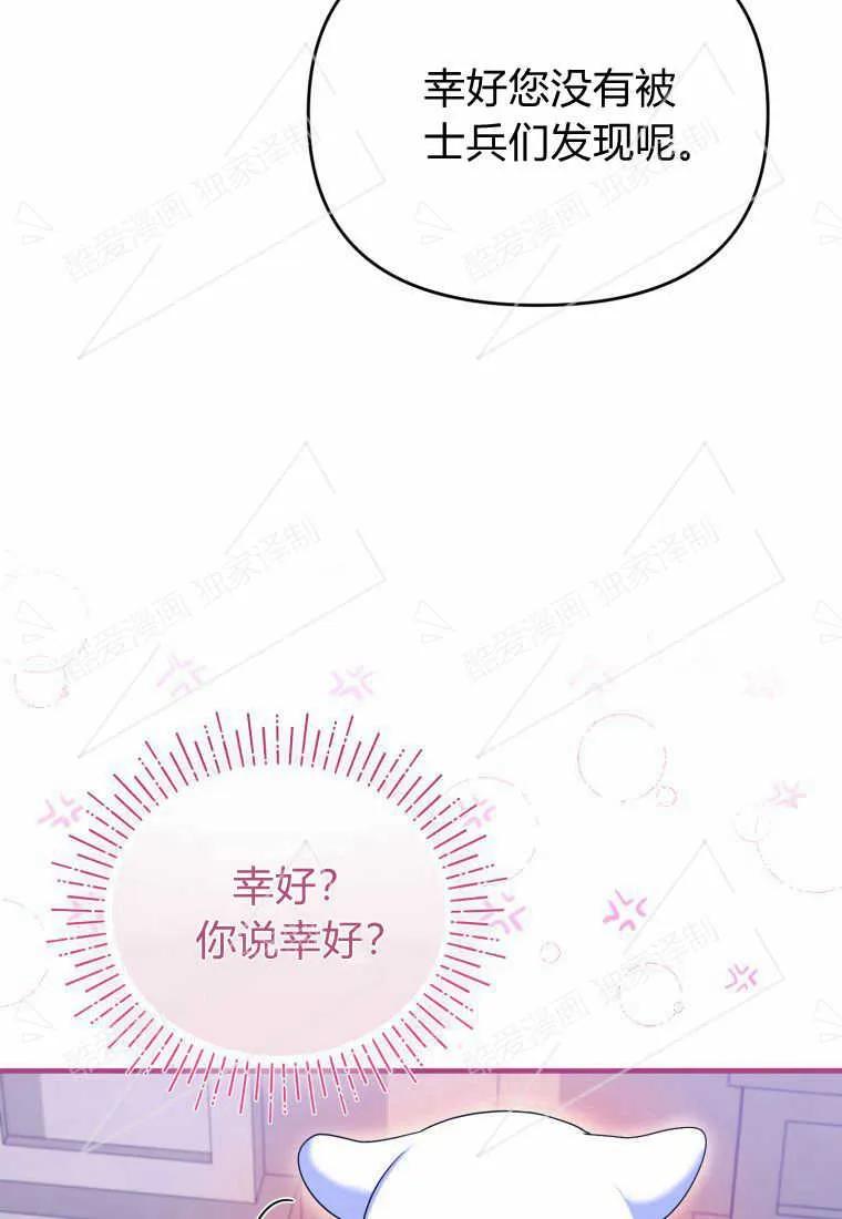 成为苏尔坦珍爱的猫咪 第05话 第47页