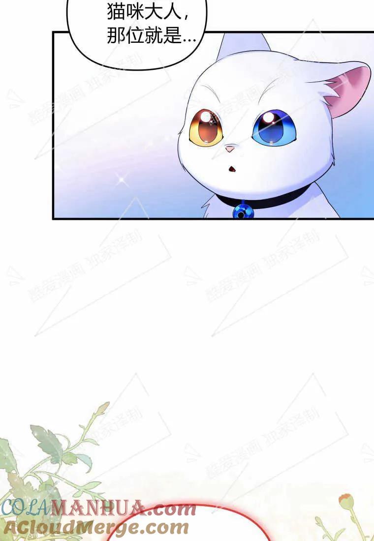 成为苏尔坦珍爱的猫咪 第05话 第77页