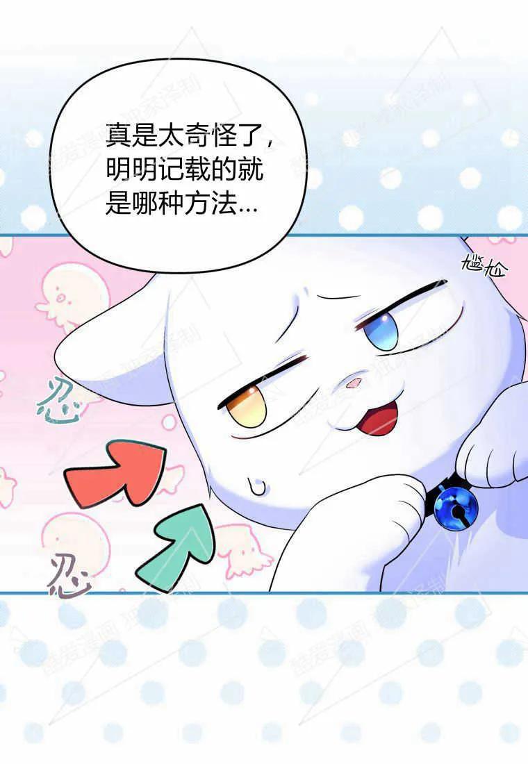 成为苏尔坦珍爱的猫咪 第05话 第58页