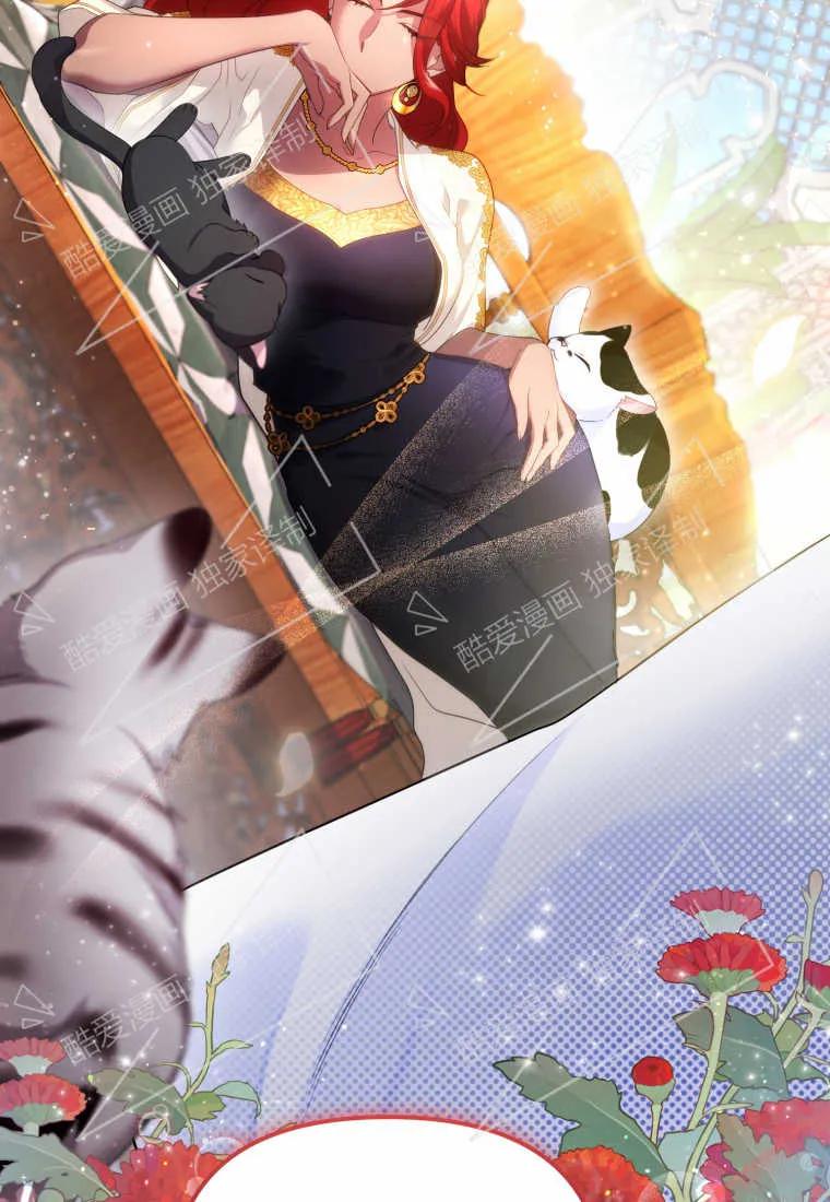 成为苏尔坦珍爱的猫咪 第05话 第79页