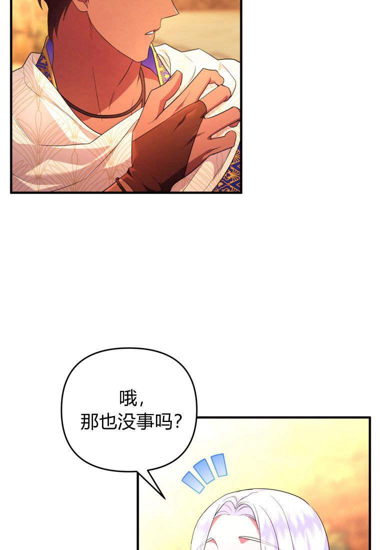 成为苏尔坦珍爱的猫咪 第50话 第29页