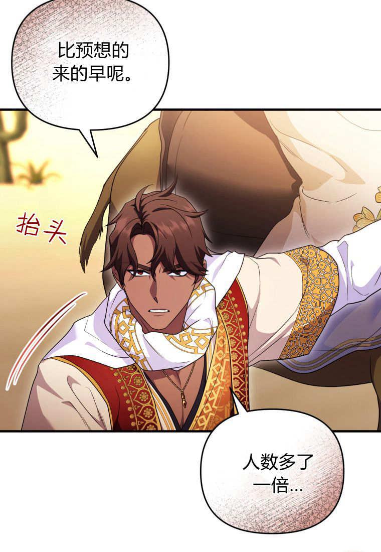 成为苏尔坦珍爱的猫咪 第51话 第27页