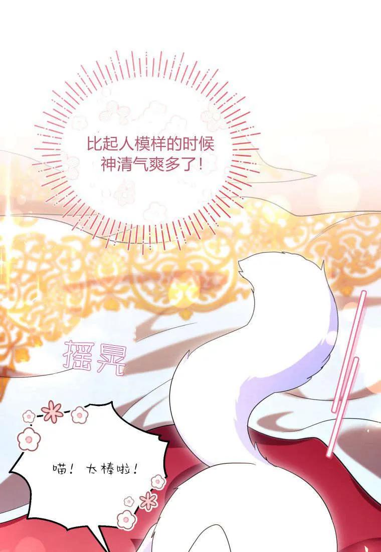 成为苏尔坦珍爱的猫咪 第54话 第86页