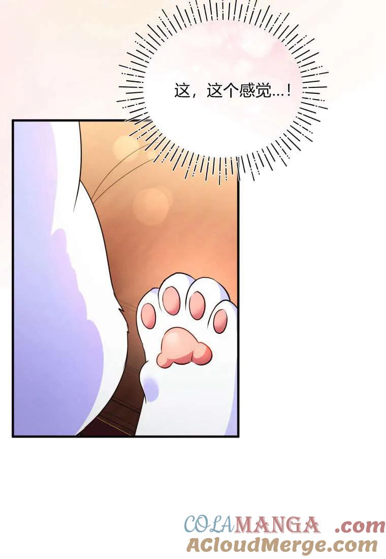 成为苏尔坦珍爱的猫咪 第54话 第85页