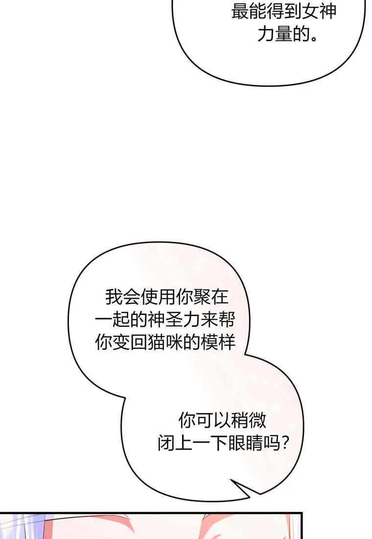 成为苏尔坦珍爱的猫咪 第54话 第81页