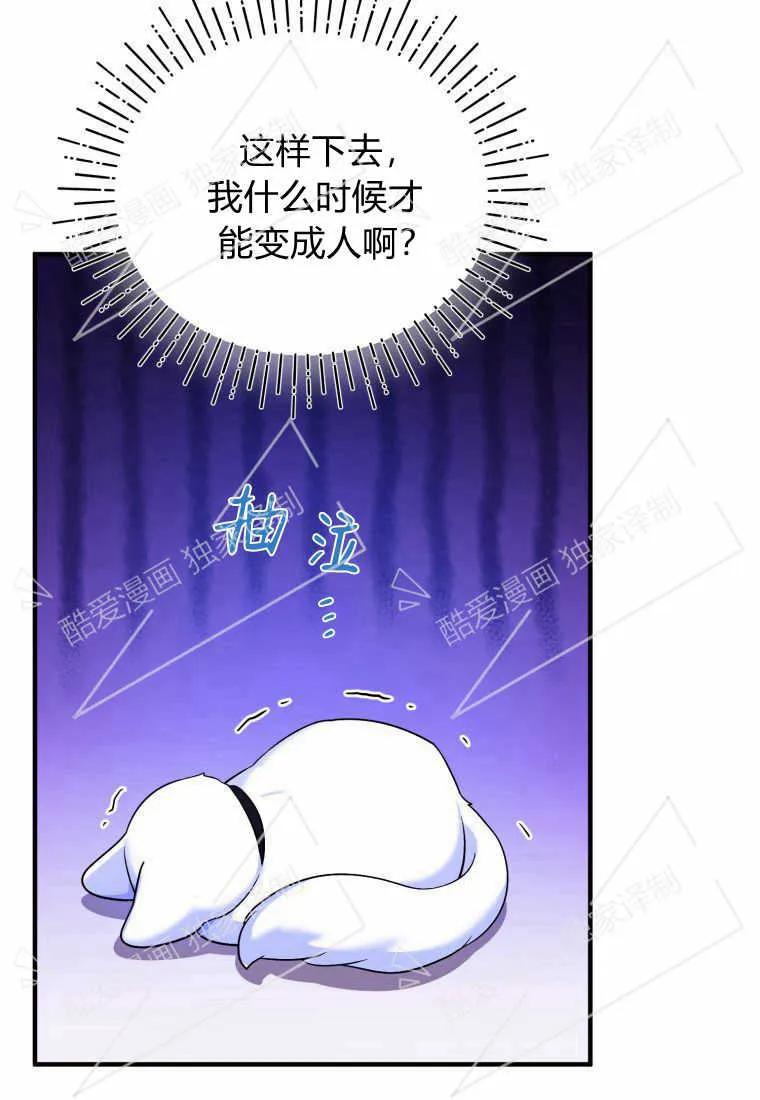 成为苏尔坦珍爱的猫咪 第06话 第55页