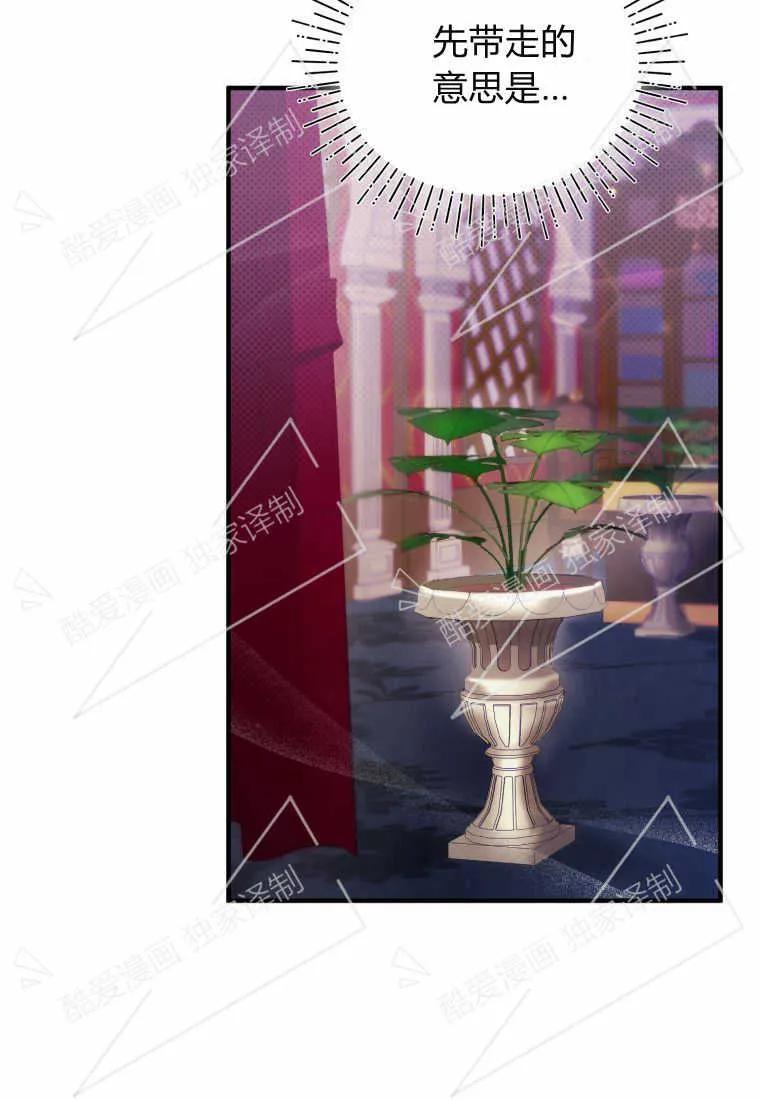成为苏尔坦珍爱的猫咪 第06话 第50页