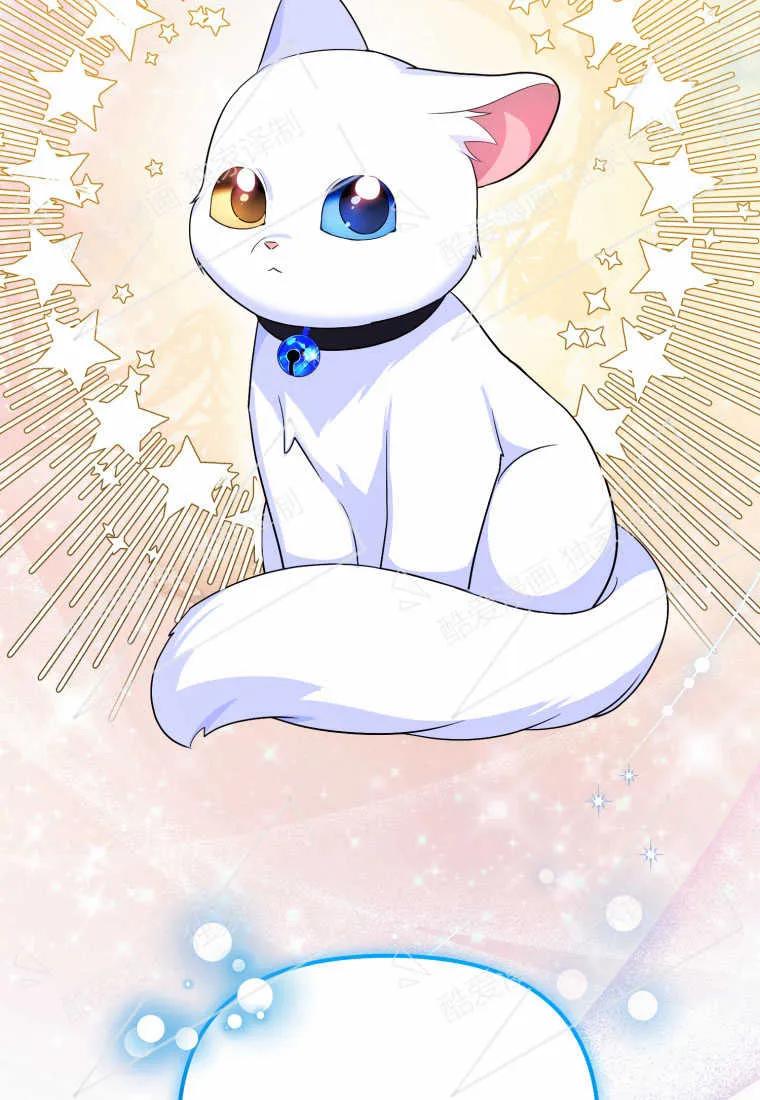 成为苏尔坦珍爱的猫咪 第06话 第31页
