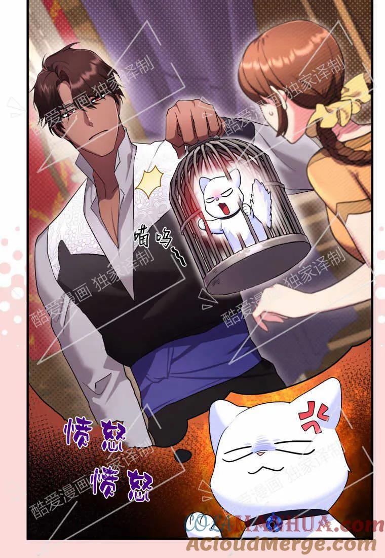 成为苏尔坦珍爱的猫咪 第06话 第53页