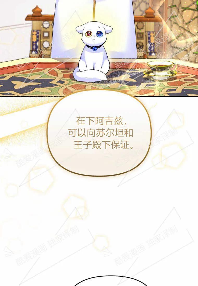 成为苏尔坦珍爱的猫咪 第06话 第46页