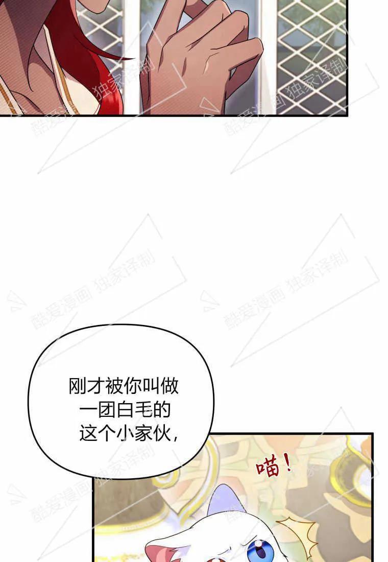 成为苏尔坦珍爱的猫咪 第06话 第26页