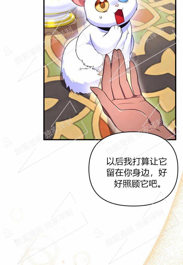 成为苏尔坦珍爱的猫咪 第06话 第27页