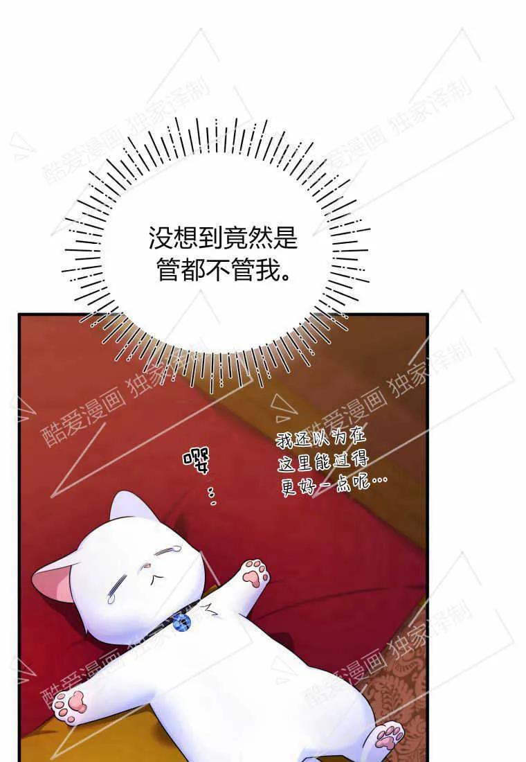 成为苏尔坦珍爱的猫咪 第06话 第51页