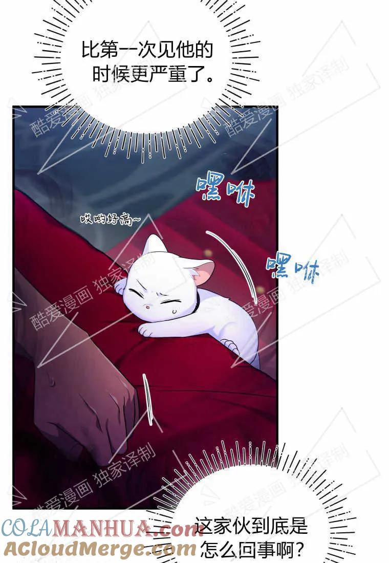 成为苏尔坦珍爱的猫咪 第06话 第89页