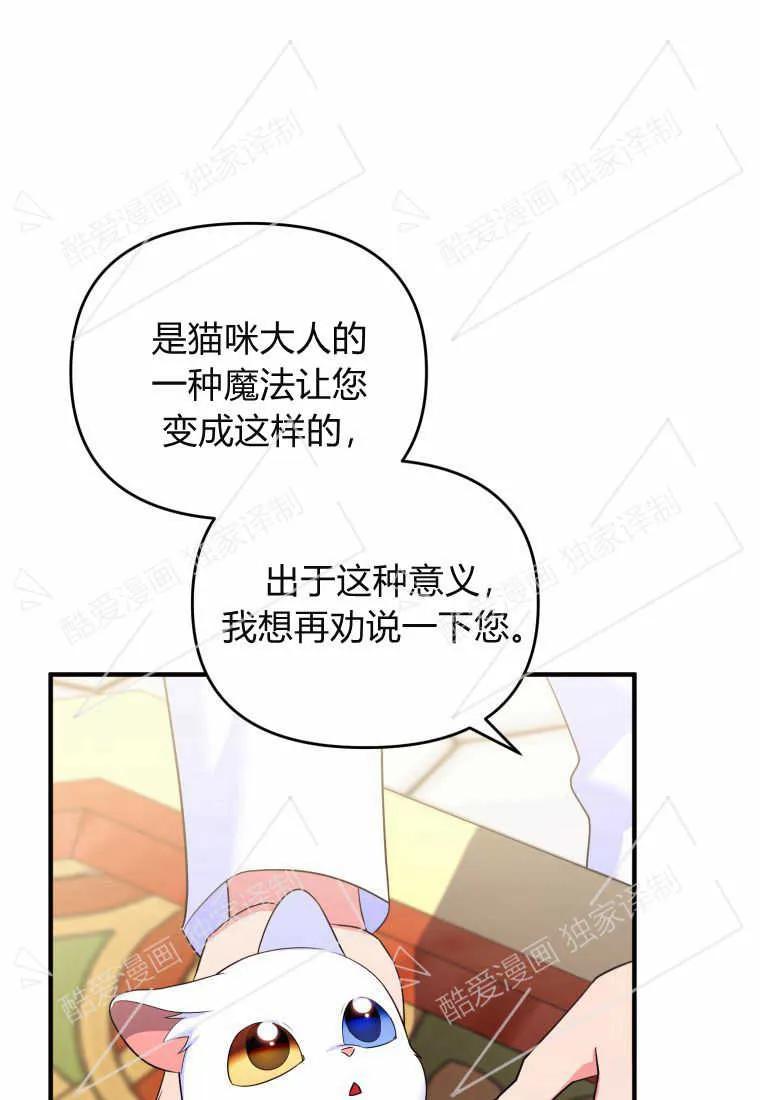 成为苏尔坦珍爱的猫咪 第06话 第43页