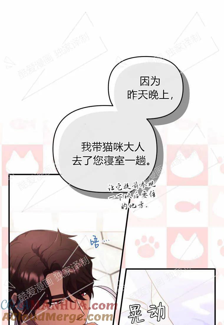 成为苏尔坦珍爱的猫咪 第06话 第41页