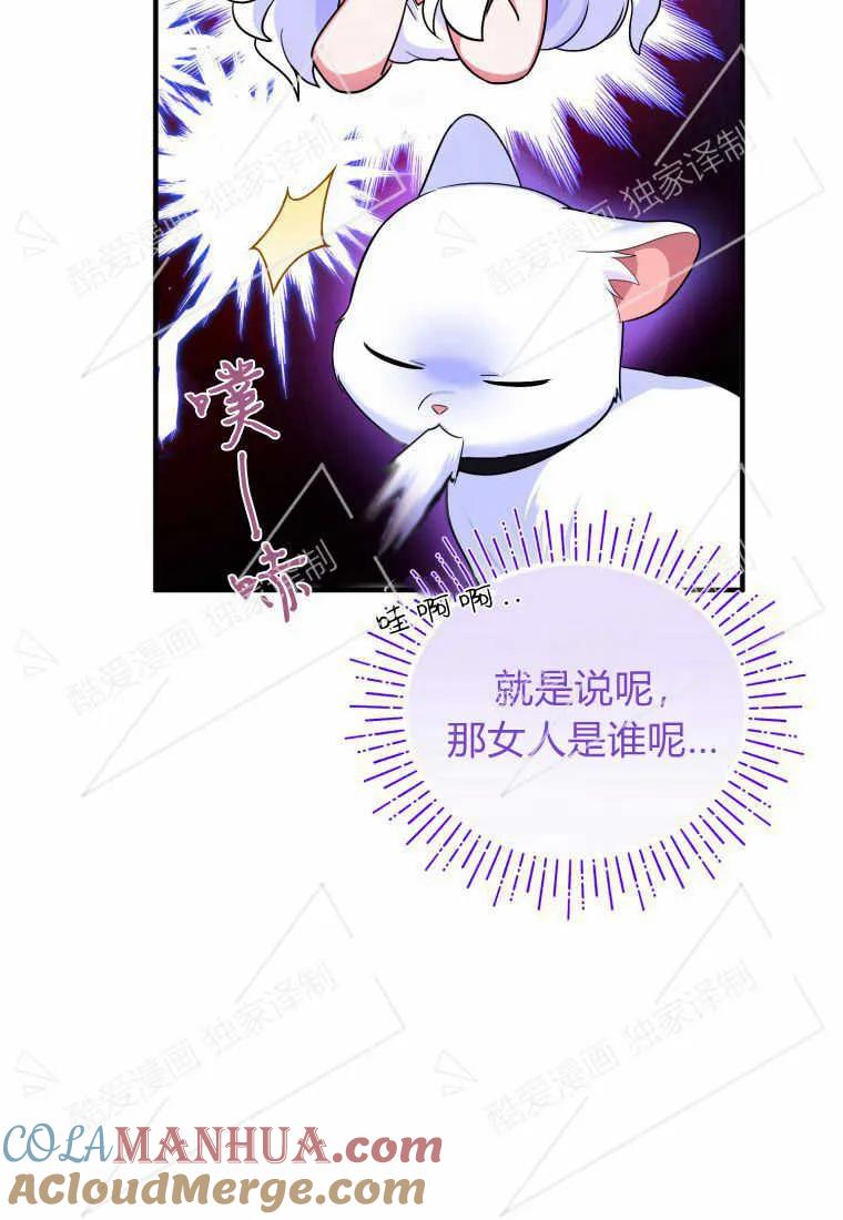 成为苏尔坦珍爱的猫咪 第06话 第17页