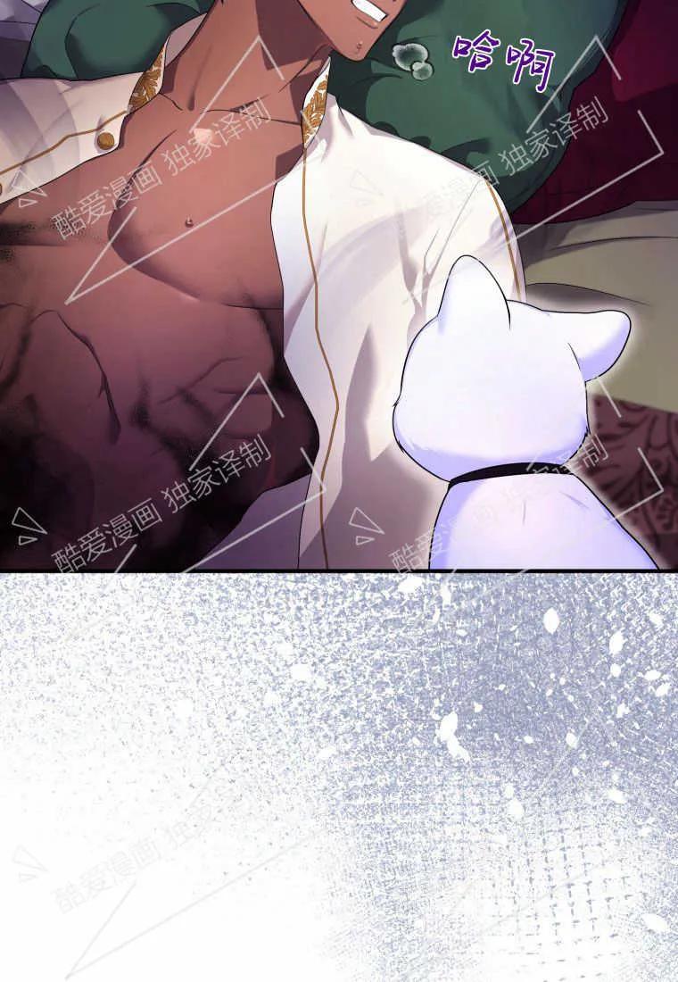 成为苏尔坦珍爱的猫咪 第06话 第91页