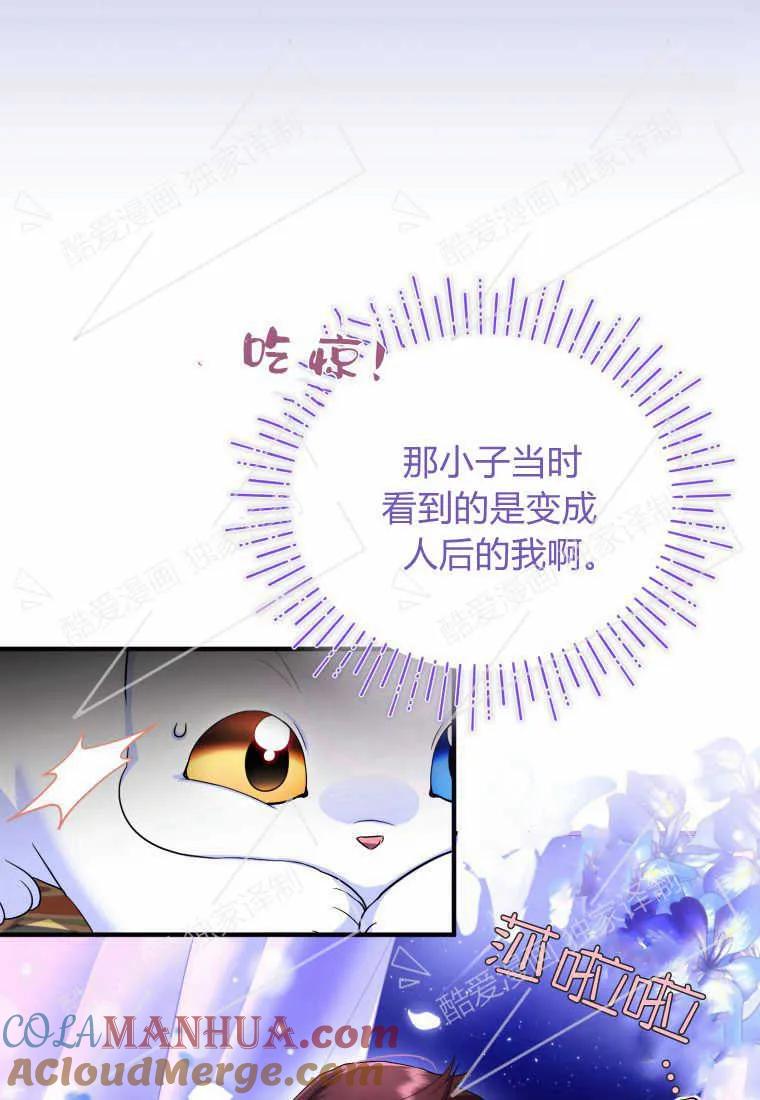 成为苏尔坦珍爱的猫咪 第06话 第9页