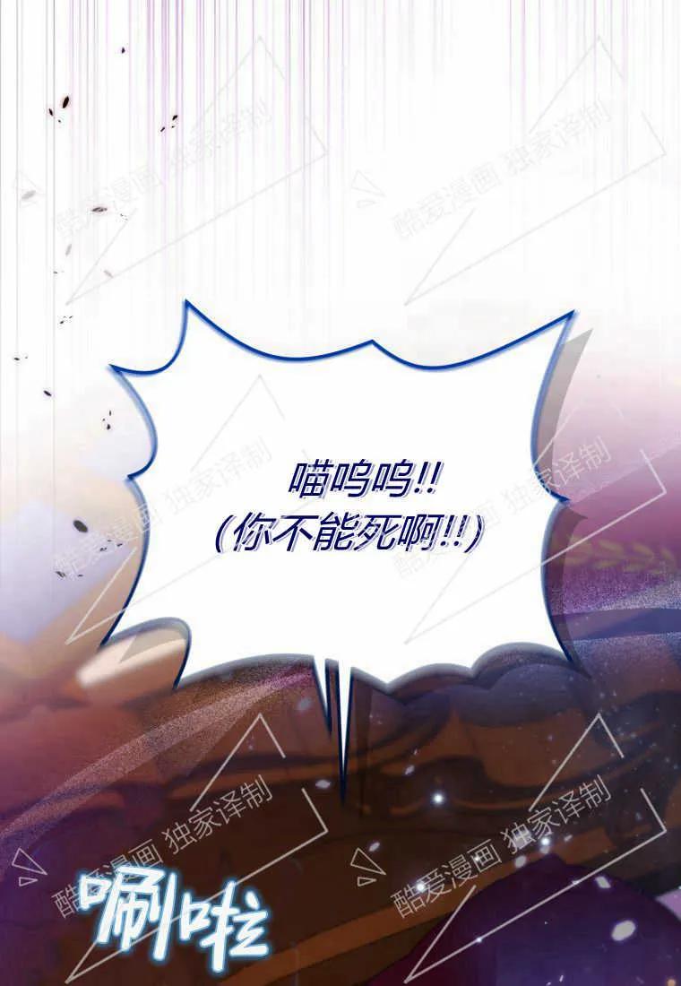成为苏尔坦珍爱的猫咪 第06话 第102页