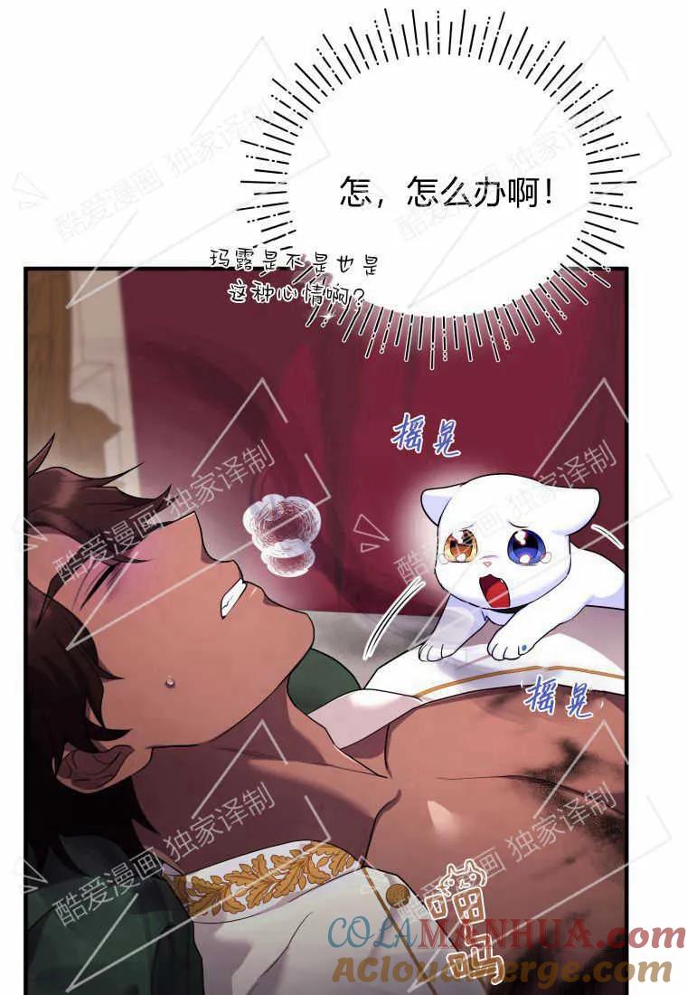 成为苏尔坦珍爱的猫咪 第06话 第97页