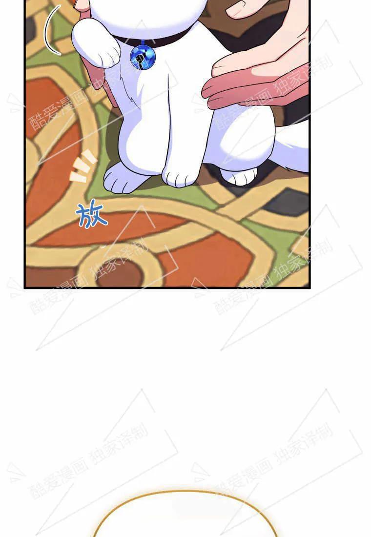 成为苏尔坦珍爱的猫咪 第06话 第44页