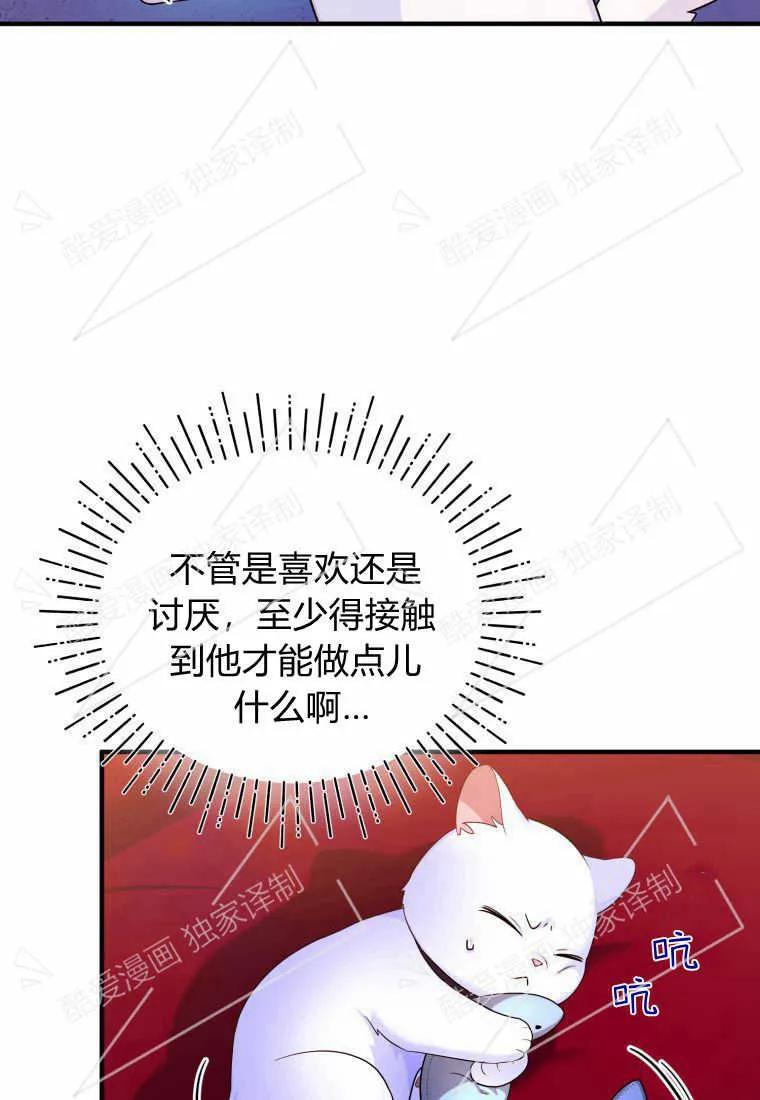 成为苏尔坦珍爱的猫咪 第06话 第59页