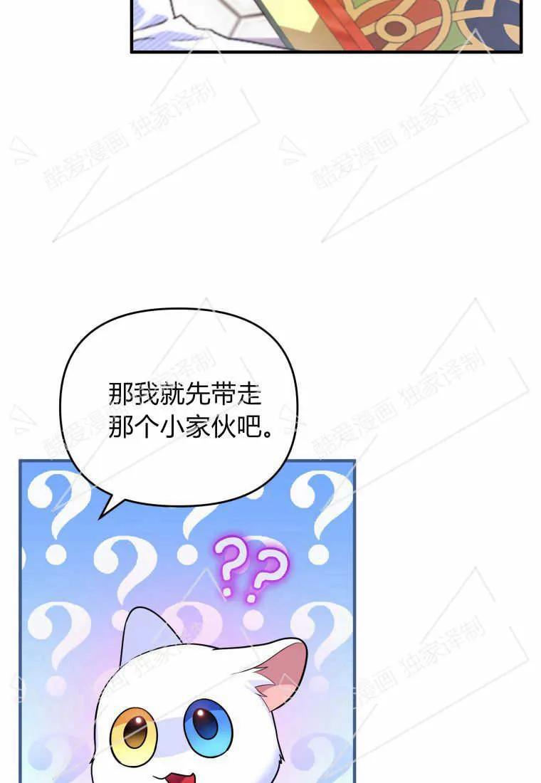 成为苏尔坦珍爱的猫咪 第06话 第48页