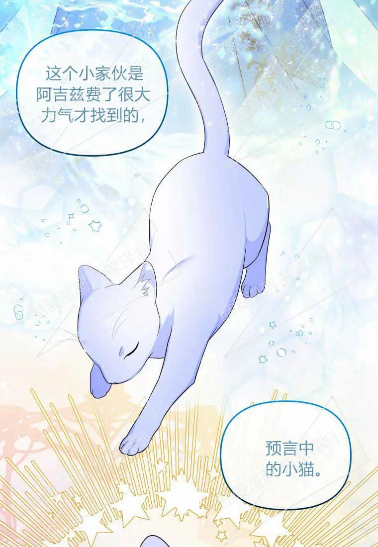 成为苏尔坦珍爱的猫咪 第06话 第30页