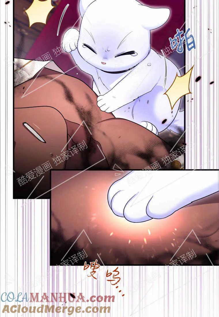 成为苏尔坦珍爱的猫咪 第06话 第101页