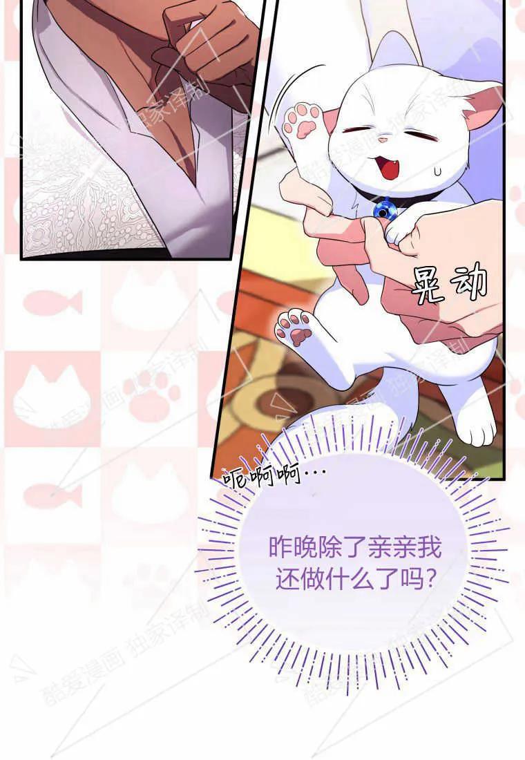 成为苏尔坦珍爱的猫咪 第06话 第42页